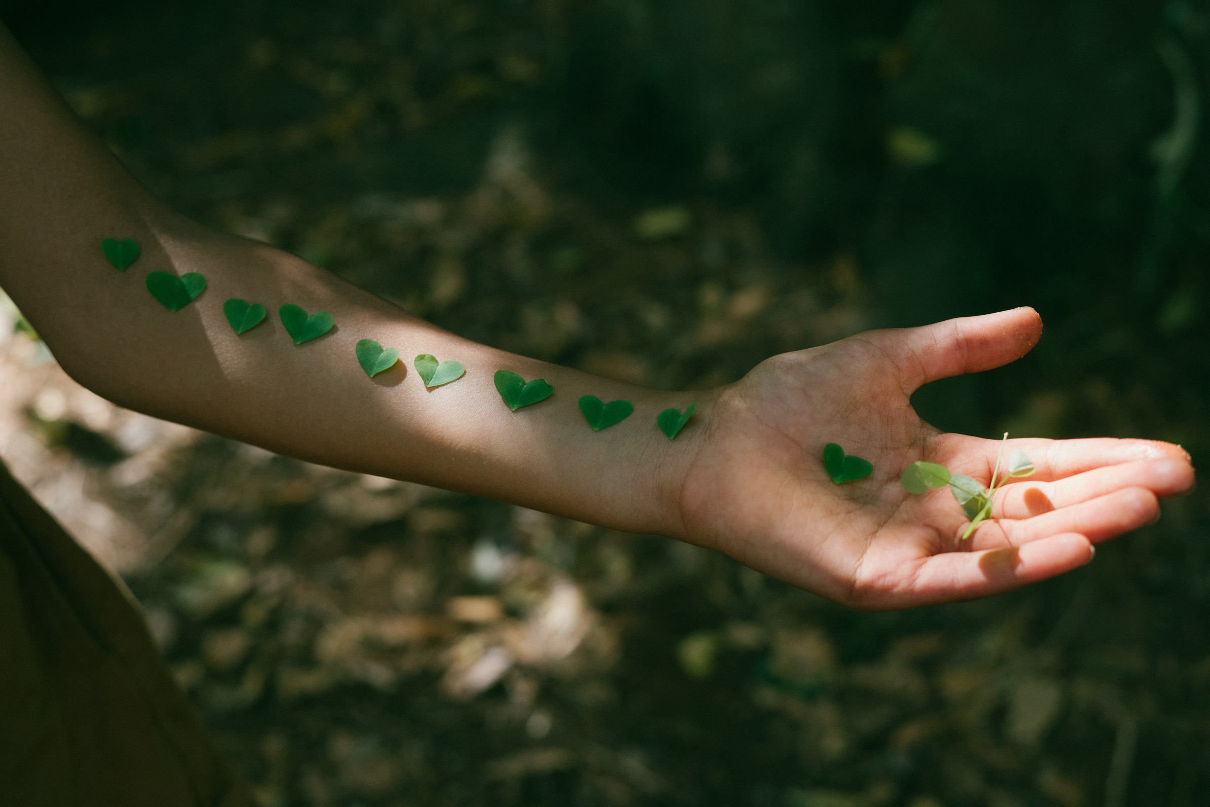 Hand with Foraged Leaves